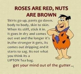 Roses are red.jpg