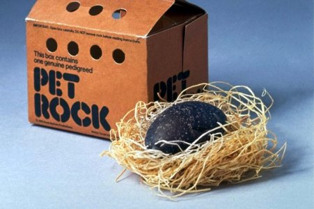 The-history-of-the-Pet-Rock-novelty-toy-gag-gift-770x513.jpg