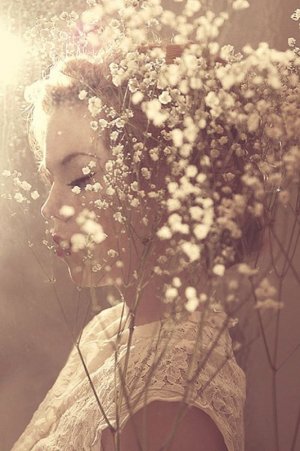 27284ced25726d7694e35006184810f2--ethereal-photography-floral-photography.jpg
