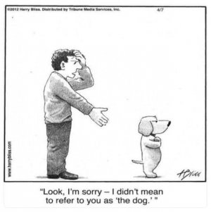 funnythedog.jpg