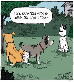 dogcast.jpg