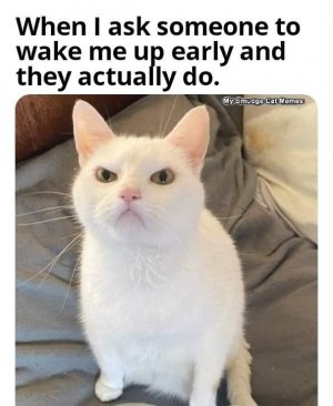FB_IMG_1637852784208.jpg