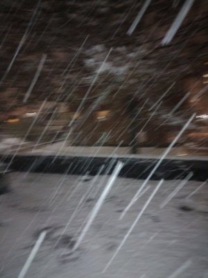 snowbackedit2.jpg snowbackedit2.jpg