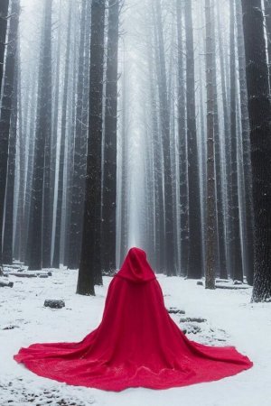 snow red morn.jpg
