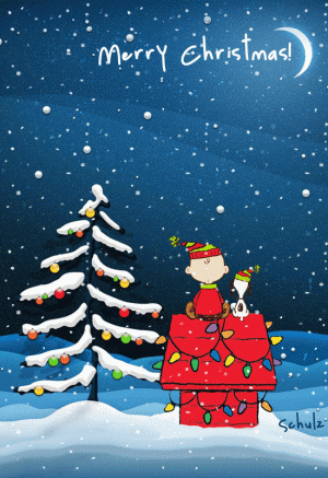 charliebrown.snoopy.gif