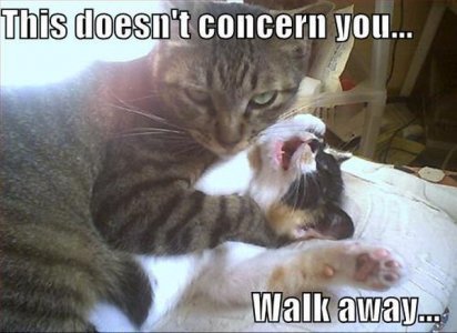 this-doesnt-concern-you.jpg
