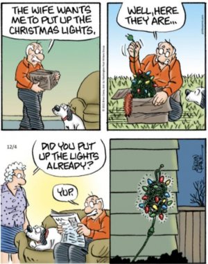Pickles christmans lights.jpg