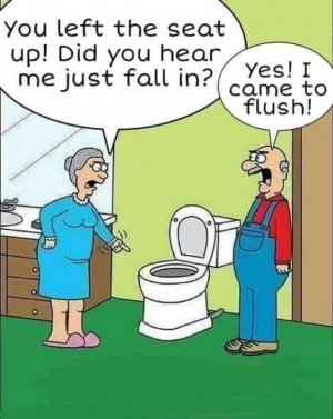 tolet flush.jpg