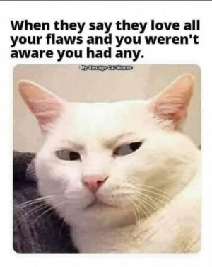 421A838E-F662-48C4-A1EE-67E47885BC28.jpeg