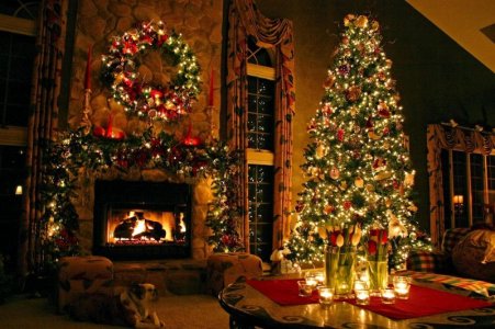 indoor-christmas-tree-decoration-ideas-541886.jpg