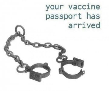 vaccine passport meme 2.jpg vaccine passport meme 2.jpg
