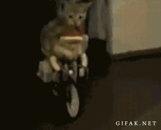 12Jd.gif