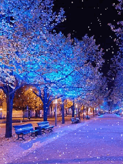 snowy night .gif