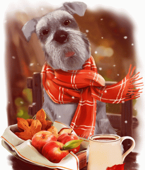 f165c93363d75be43308512972fd71ab[1].gif