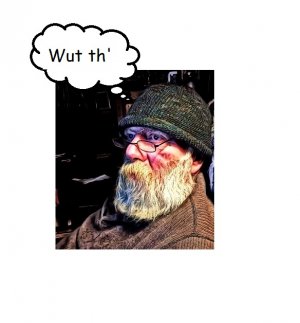 wut.jpg