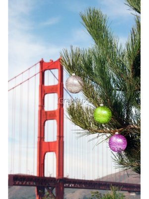 ggbrxmas.jpg