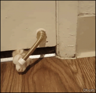 1638995459007.gif
