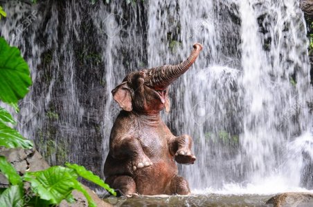 42038633-elephant-is-bathing-at-the-waterfall.jpg