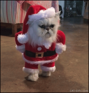 024d7efe379c12ebe2ec38e70a92fb12.gif