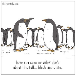 7af7375ea6c27ad35ea40347508028ae--animal-memes-animal-funnies.jpg