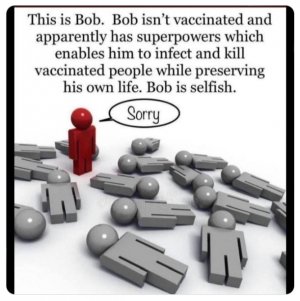 bob.jpg