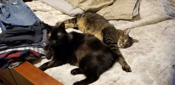 Andy and Bugsy 2.jpg