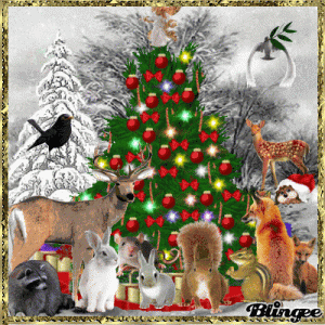 509d80a4695b127bcb8d80add074235f[1].gif