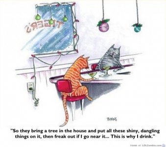 christmsa-cats-drink.jpg