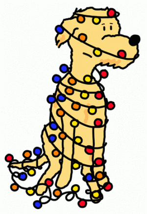 dog.gif