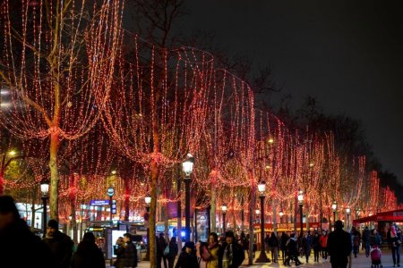 christmas_lights_paris.jpg