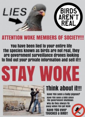 31E0E18C-B64D-4501-857B-86CA85DF52FF.jpeg