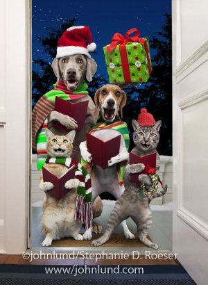 cats and dogs carolers.jpg