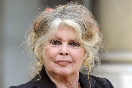 Bardot.jpeg