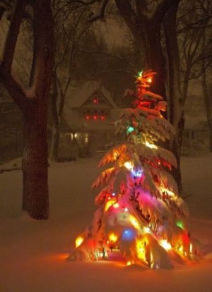 christmas 4 T sf.jpg