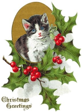 cat & holly.jpg
