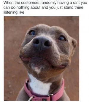 ins-RetailDogMeme2.jpg