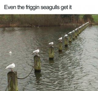 000.jpg