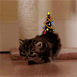 this-isnt-what-i-meant-when-i-said-i-want-my-own-tree.gif