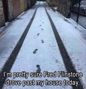 4782EE08-0AE7-46DF-9FD0-9FCD950D6F32.jpeg