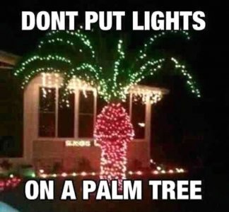 the-best-funny-pictures-of-funniest-christmas-decorations-ever-never-put-christmas-lights-on-...jpeg