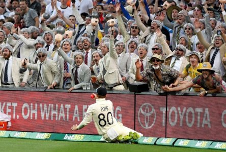 cricket.jpg