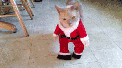 PC06.gif