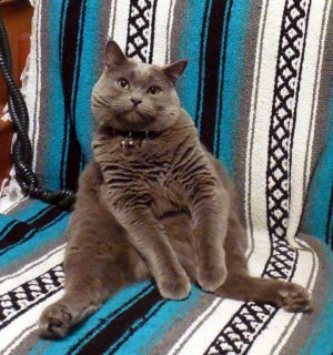 loveseat.jpg
