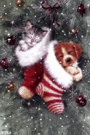 53fb73ef1caab4fd39c4189b49050022[1].gif