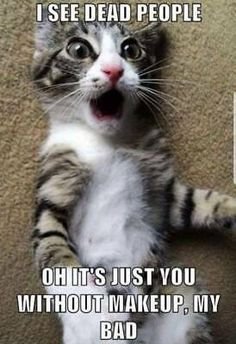 c68f45ecaf39da068bbbaadfa7b4ee9a[1].jpg