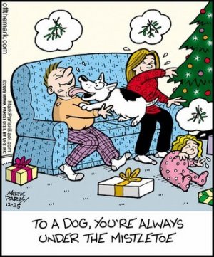 dogmistletoe.jpg