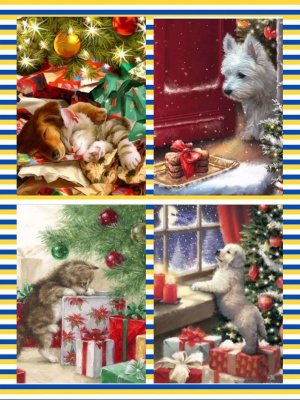 xmaspic.jpg