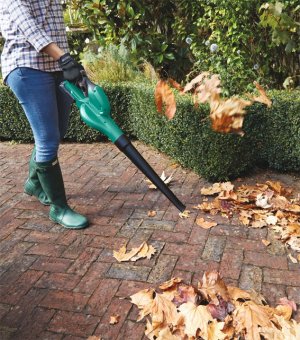 leaf blower.jpg