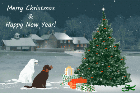 dogs.tree.gif