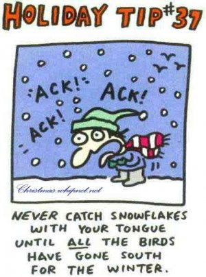 Akk-snowflakes.jpg